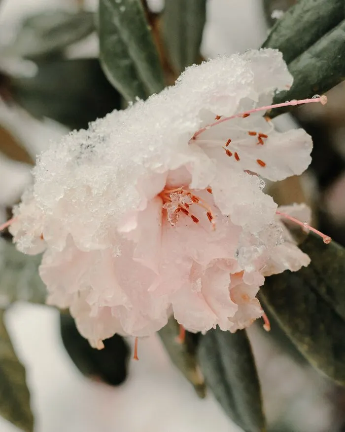 This Photographer Captured 45 Magical Moments, Revealing The Beauty In Everyday Objects