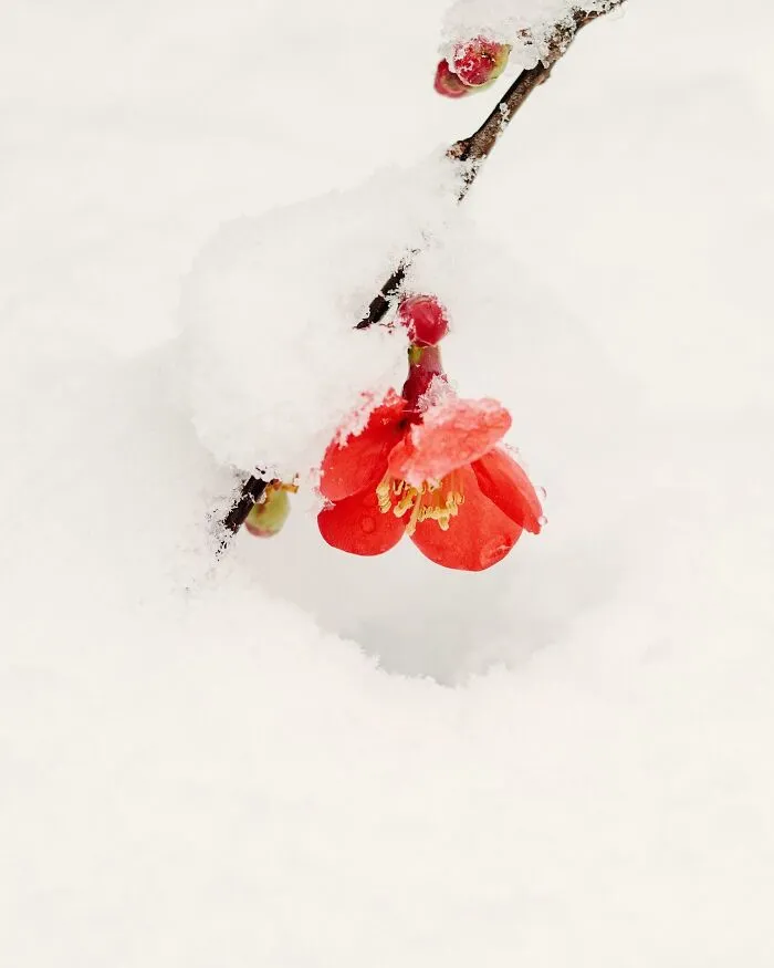 This Photographer Captured 45 Magical Moments, Revealing The Beauty In Everyday Objects