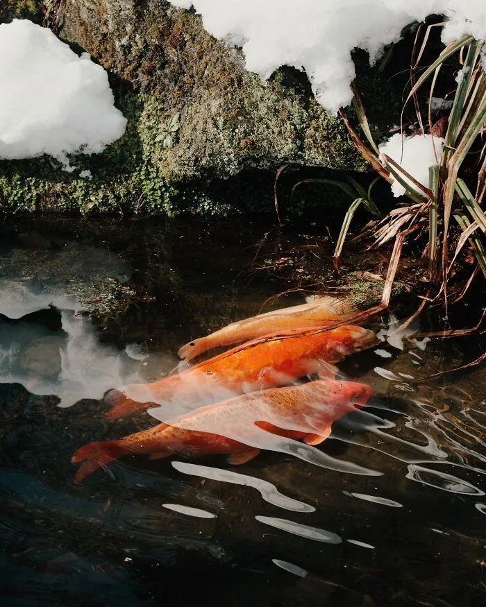 This Photographer Captured 45 Magical Moments, Revealing The Beauty In Everyday Objects