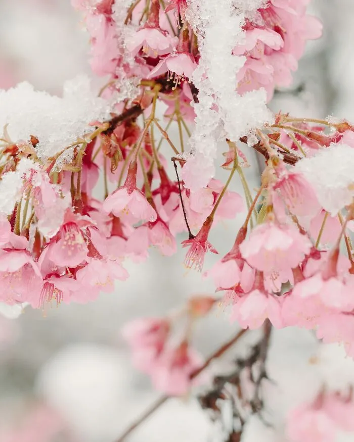 This Photographer Captured 45 Magical Moments, Revealing The Beauty In Everyday Objects