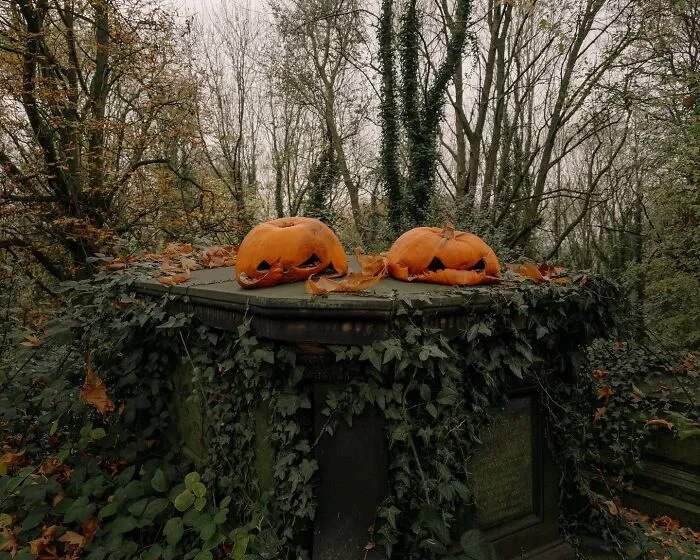 This Photographer Captured 45 Magical Moments, Revealing The Beauty In Everyday Objects