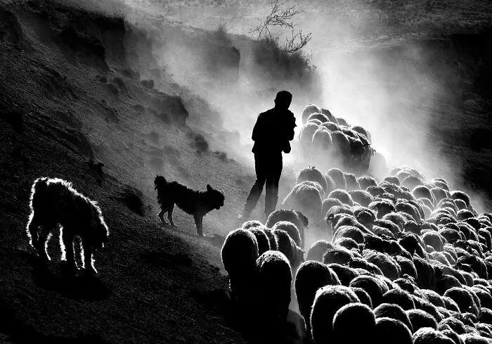 From The Carpathians To Rural Villages: 29 Photos That Showcase Humanity’s Soul By Istvan Kerekes