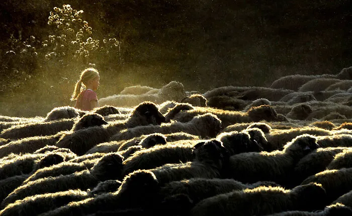 From The Carpathians To Rural Villages: 29 Photos That Showcase Humanity’s Soul By Istvan Kerekes