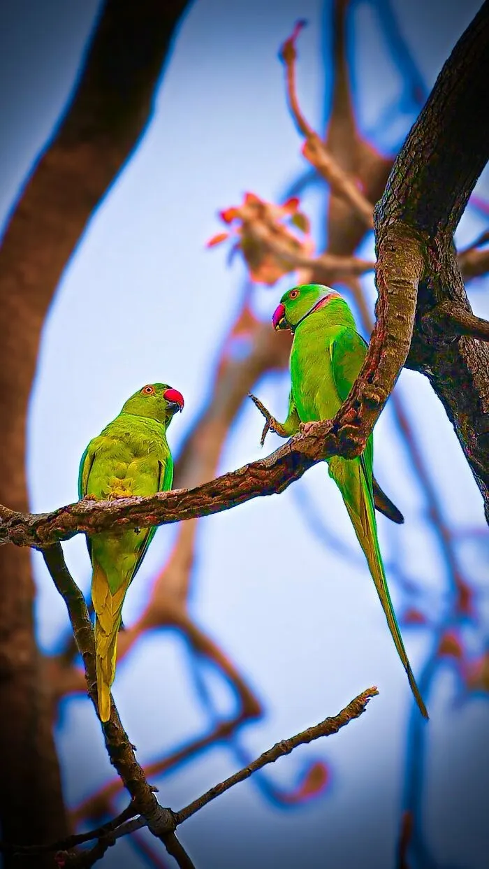 This Photographer Takes Beautiful Close-Up Photos Of Wildlife (27 New Pics)