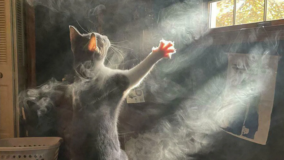 50 Beautiful Pictures Of 'Art' That Happened Completely By Accident (New Pics)