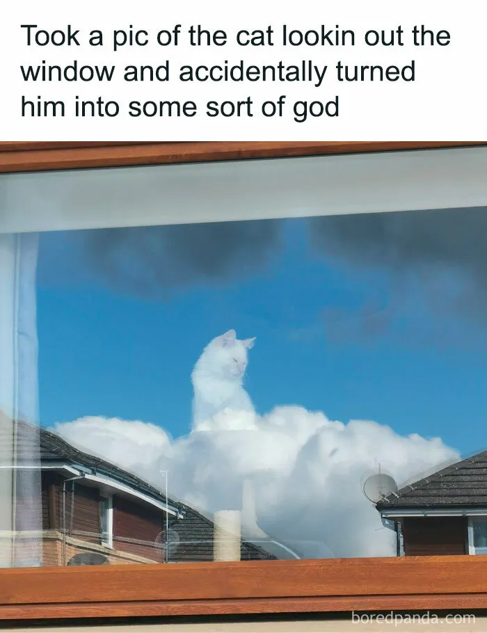 Is This Heaven?