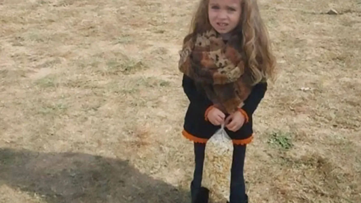 When You See It: 40 Amusing Examples Of Accidental Camouflage (New Pics)