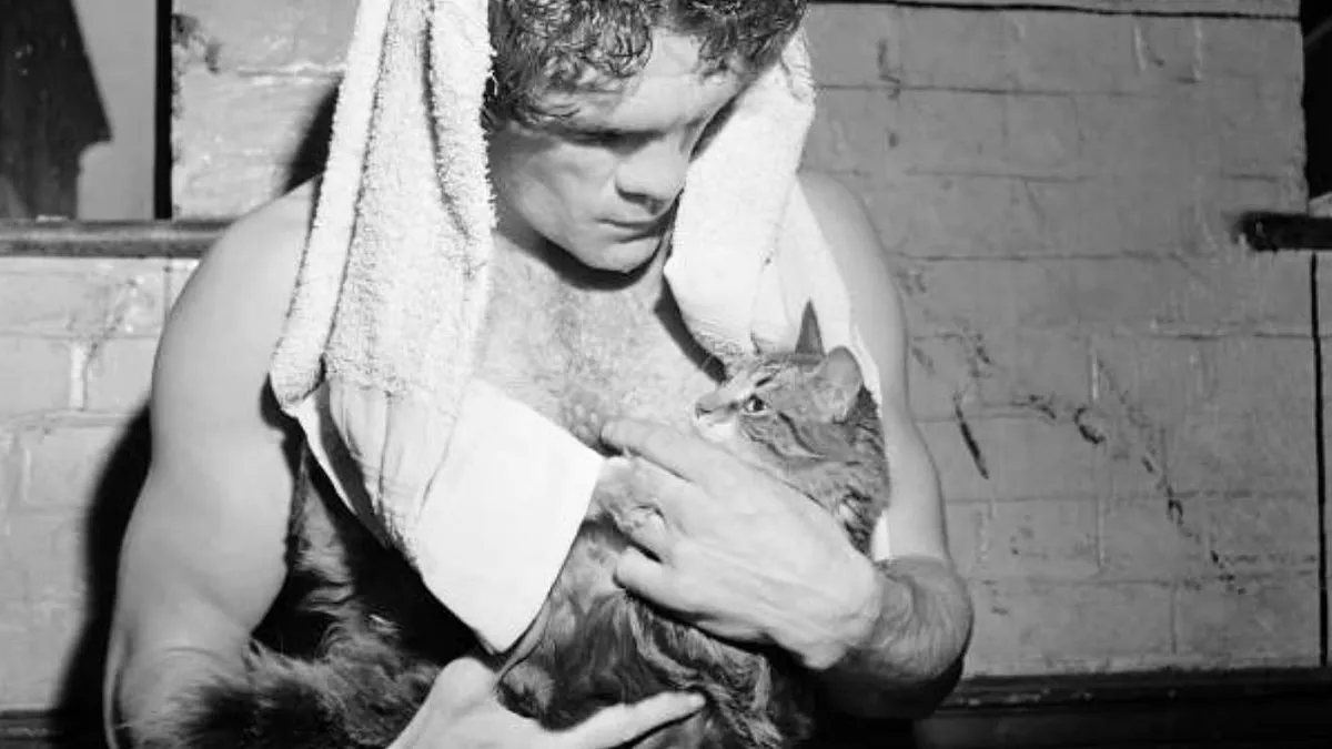 This Journalist Collects Vintage Cat Photos That Might Melt Your Heart (20 New Pics)