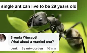 50 Delightful Animal Memes To Help You Ignore What’s Happening In The World Right Now
