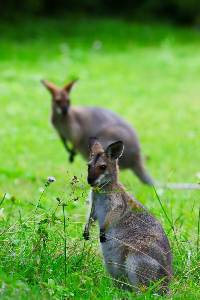 “Today I Learned”: 30 Interesting And Weird Facts To Satisfy Your Curiosity (New Facts)