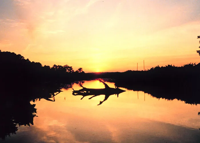 34 Netizens Share Interesting Local Unsolved Mysteries