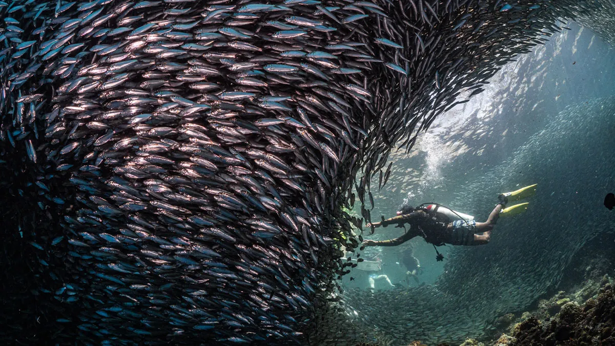 The Winners Of The 2024 Budapest International Foto Awards Have Been Announced (40 Pics)