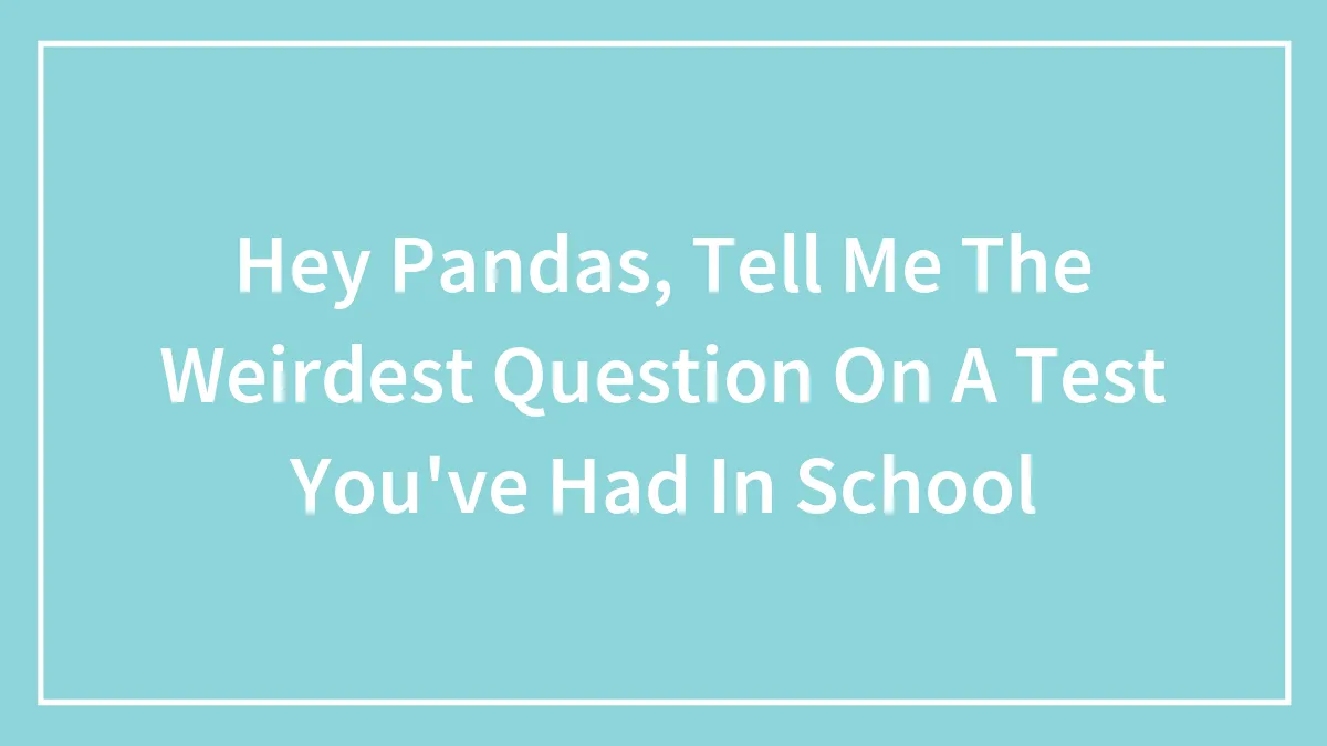 Hey Pandas, Tell Me The Weirdest Question On A Test You've Had In School (Closed)