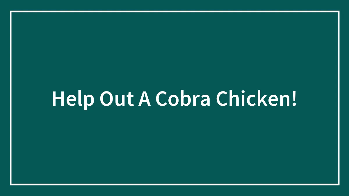 Help Out A Cobra Chicken!