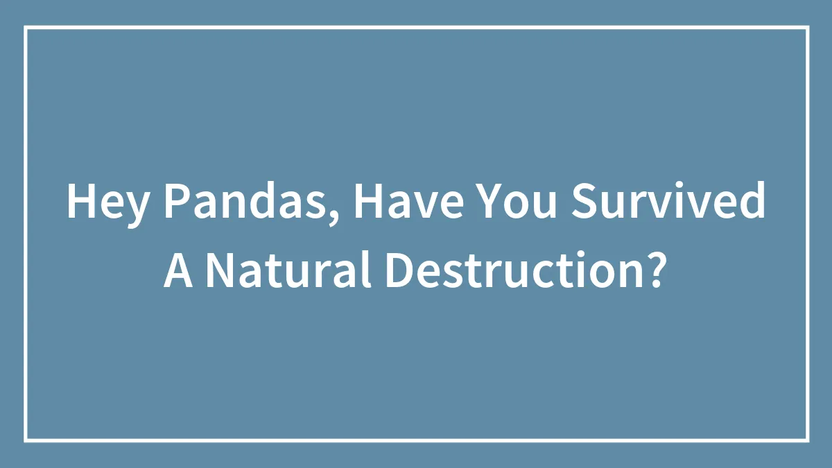 Hey Pandas, Have You Survived A Natural Destruction? (Closed)