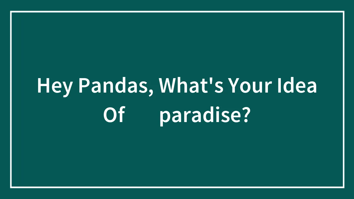 Hey Pandas, What's Your Idea Of ​​paradise? (Closed)