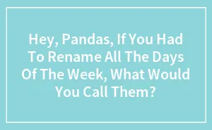 Hey Pandas, If You Had To Rename All The Days Of The Week, What Would You Call Them?