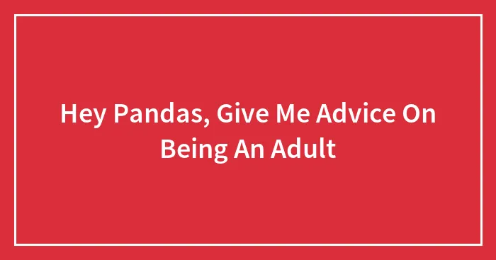 Hey Pandas, Give Me Advice On Being An Adult (Closed)