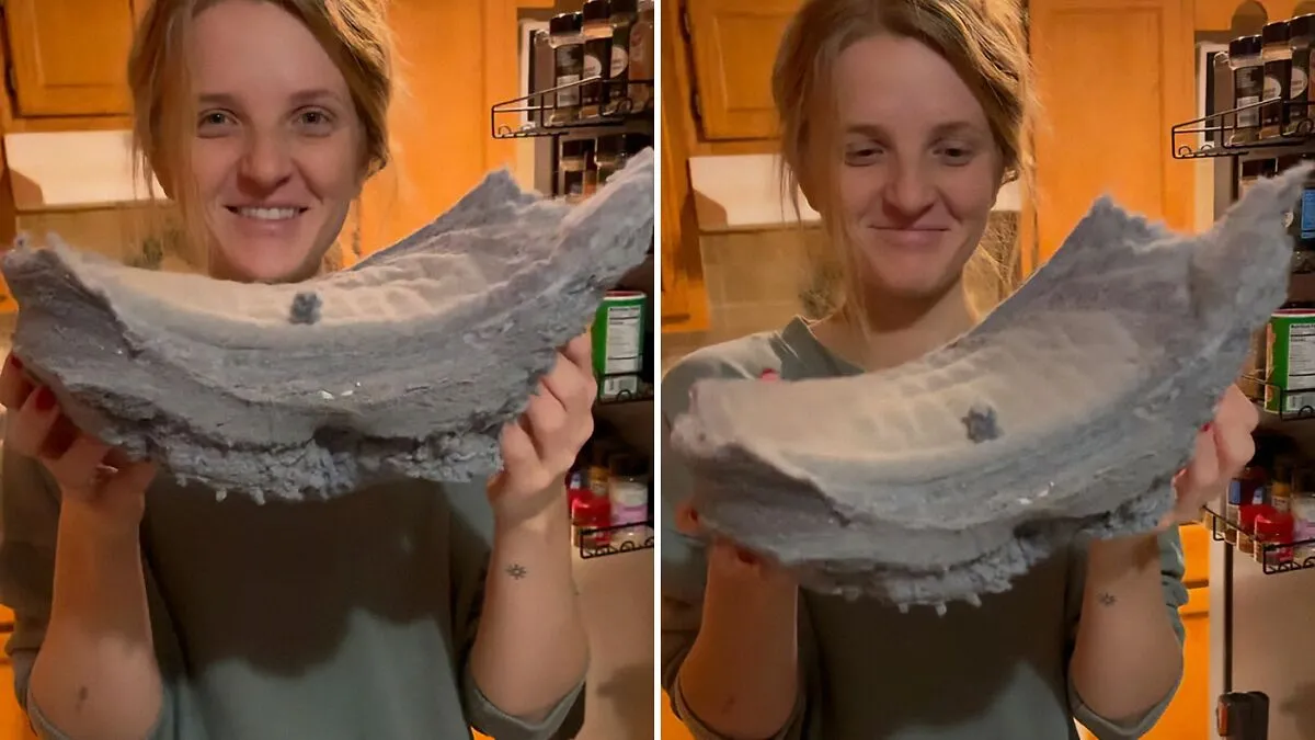 Woman Tells Family Dryer Isn’t Working And Everyone's Stunned When They Discover The Reason Why