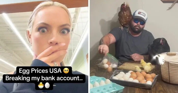 "I Have To Dip Into My Retirement": Record-High Egg Prices Spark Hilarious Reactions