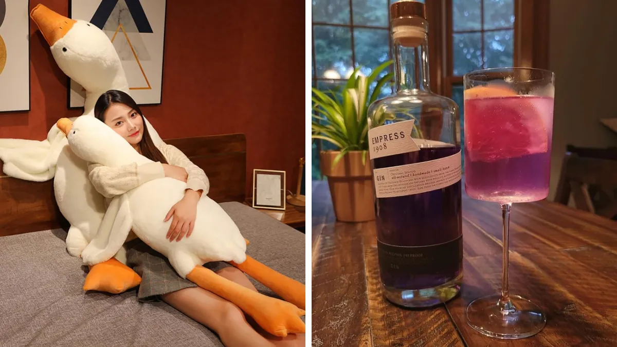 Level Up Your Lazy: 25 Items That'll Make Doing Nothing Feel Amazing