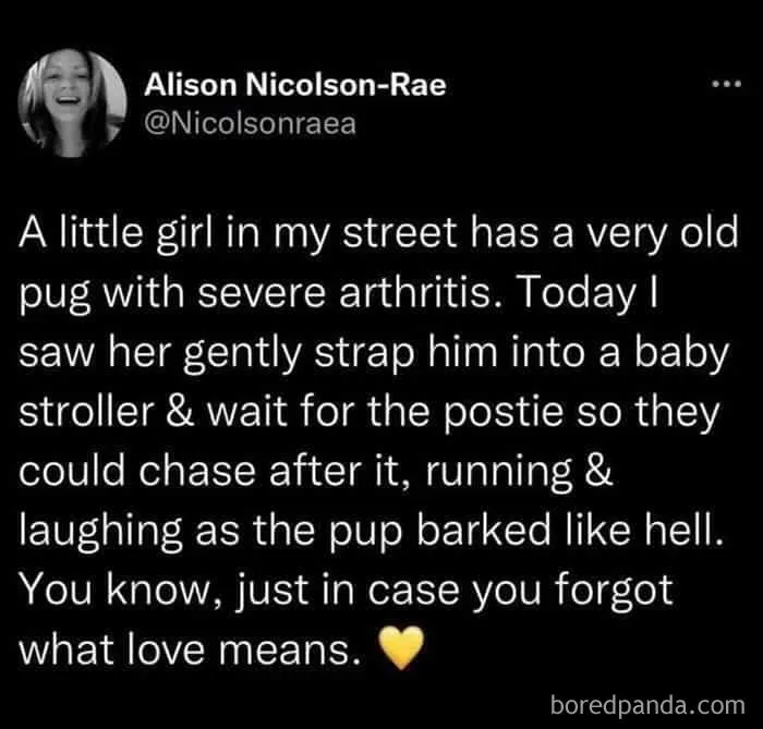 50 Wholesome Pics That Hit Harder Than A Pixar Montage (Best Of All Time)