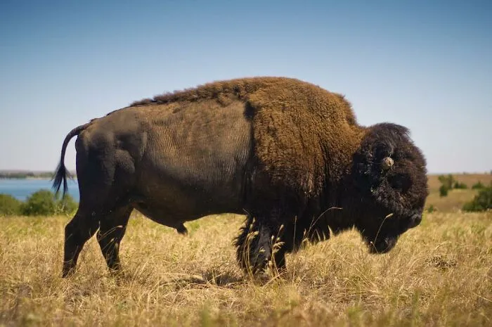 30 Facts You “Weren’t Taught In School” To Help You Get A Complete Picture Of The Past