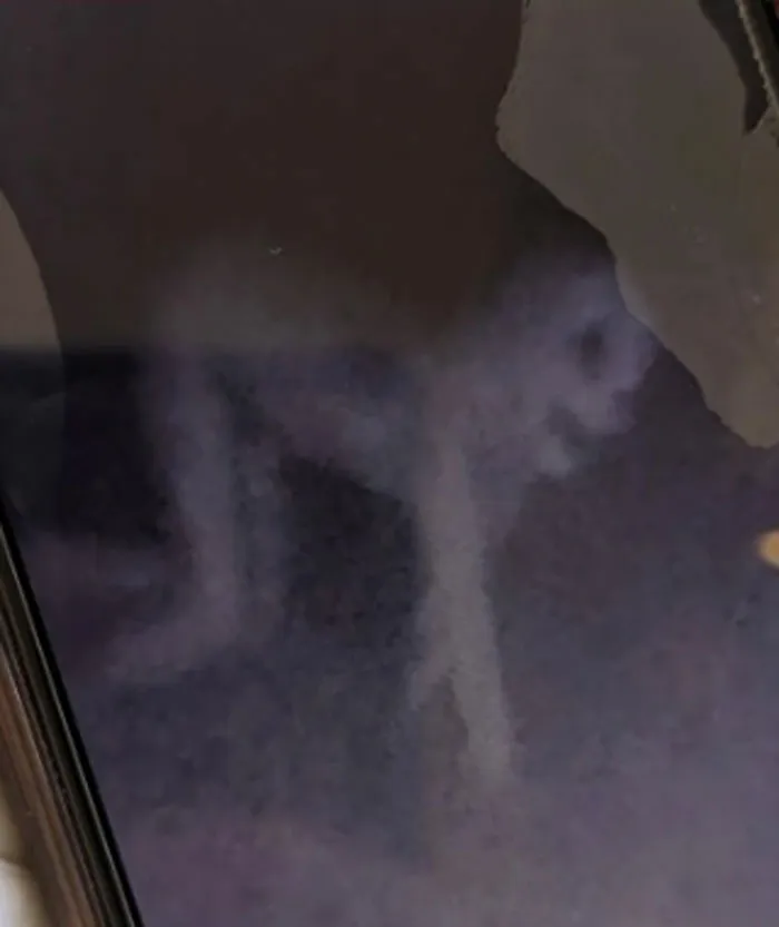 Rural South Carolina. From A Co-Worker's Trail Cam. What Is This?