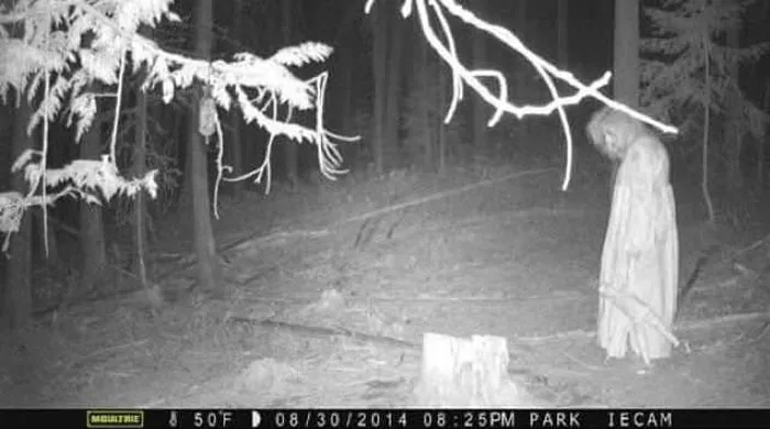 Washington State Woods, Creepy Woman