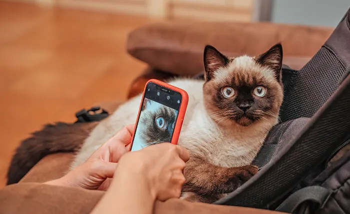 “I Pretend I Don’t Hear It”: 30 People Share The Most Precious Things Their Partners Do