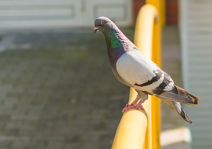 “I Pretend I Don’t Hear It”: 30 People Share The Most Precious Things Their Partners Do