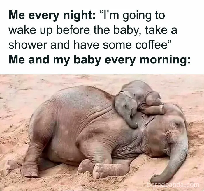 This IG Account Gathered Nearly 1M Fans With Its Dad Memes And Here Are 30 Of The Best
