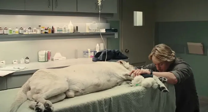 30 Movies With Extremely Upsetting Endings That You Probably Don’t Want To Watch With Your Kids