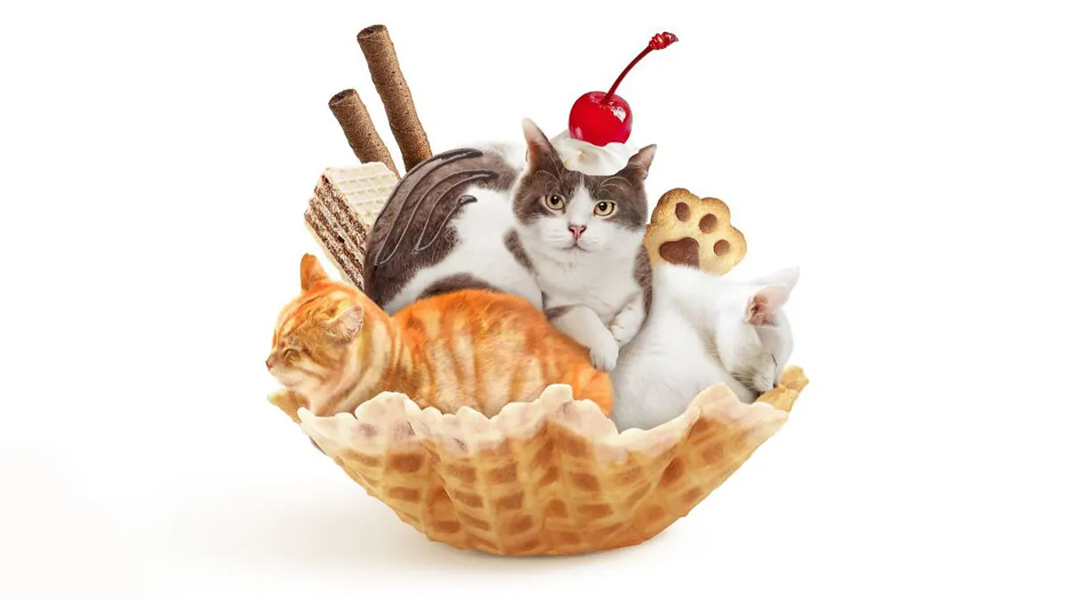 This Artist Serves Up Adorable Cat-Inspired Food Art (20 Pics)