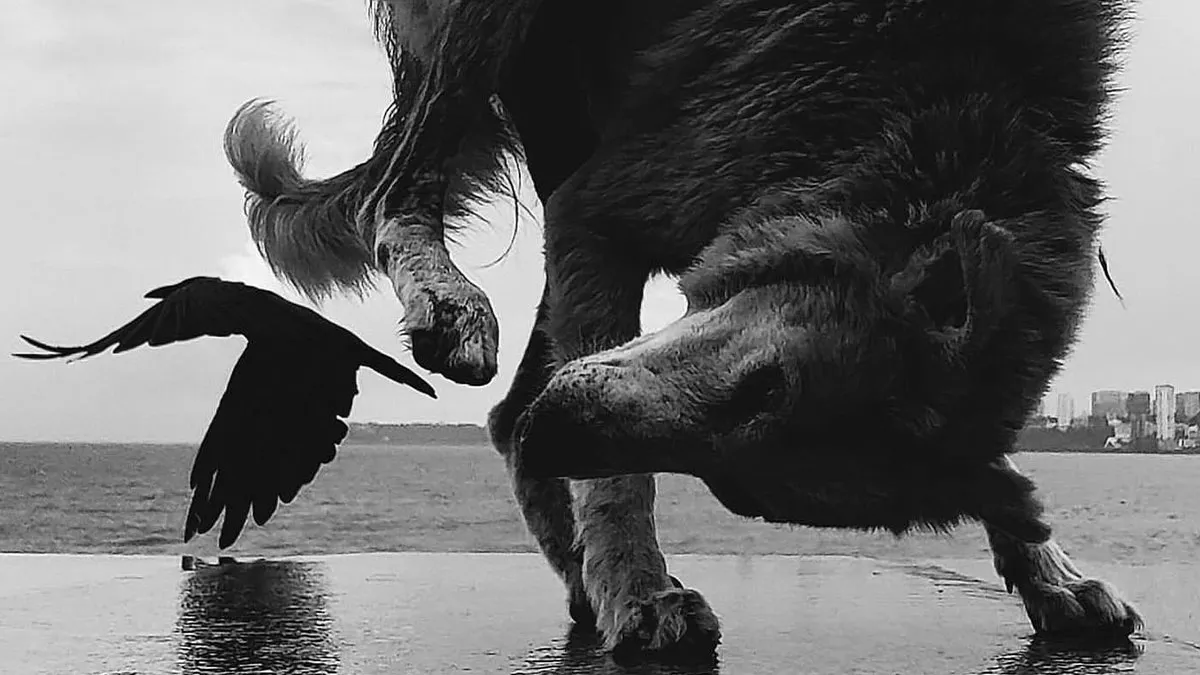 This Account Shares Amusing Street Photos—And Here Are The 35 Best Dog-Themed Examples