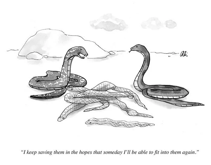 This New Yorker Cartoonist Might Make You Laugh With Her Witty Single-Panel Comics (20 New Pics)