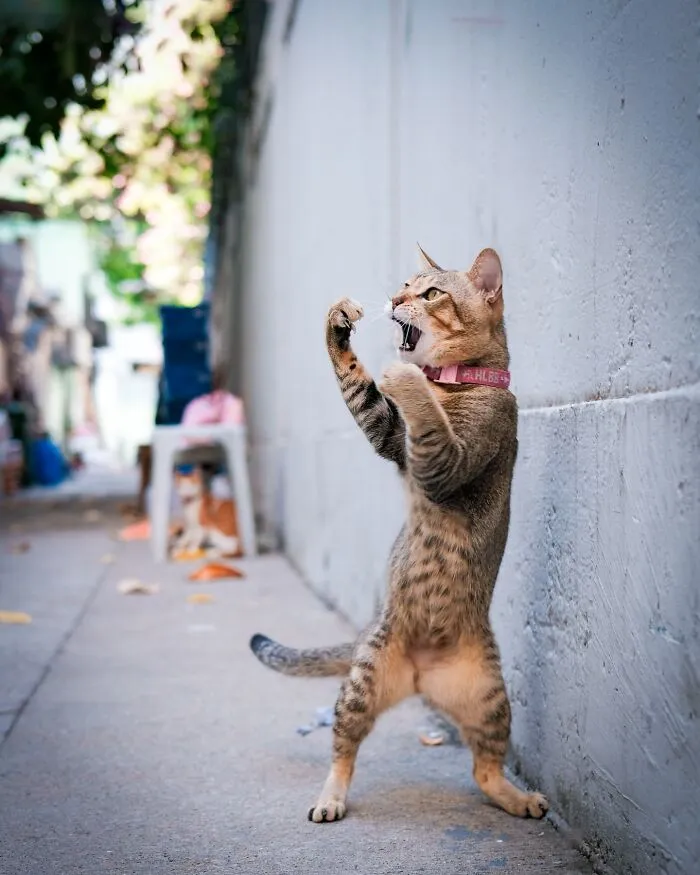 This Page Shares The Most Fascinating Photos, And Here Are The 42 Newest Ones