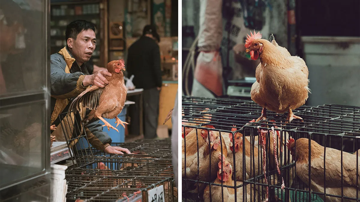 21 Photos I Took To Show The Authentic Side Of A Farmers’ Market In China