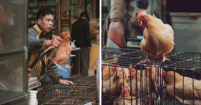 21 Photos I Took To Show The Authentic Side Of A Farmers’ Market In China