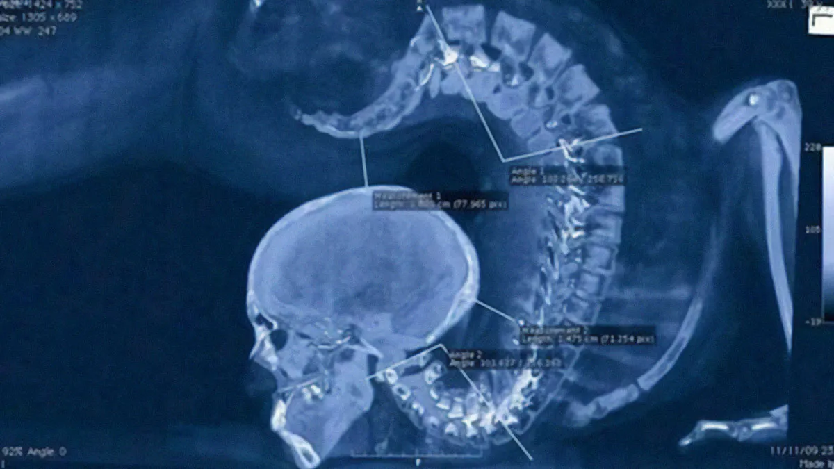 50 Interesting Images And Facts That Are Simply Amazing (New Pics)