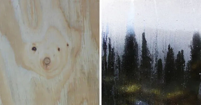 Accidental Art: 4 Pictures I Took