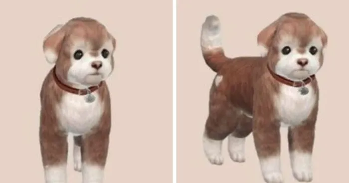 Hey Pandas, Post Something That Will Make Everyone's Day Better