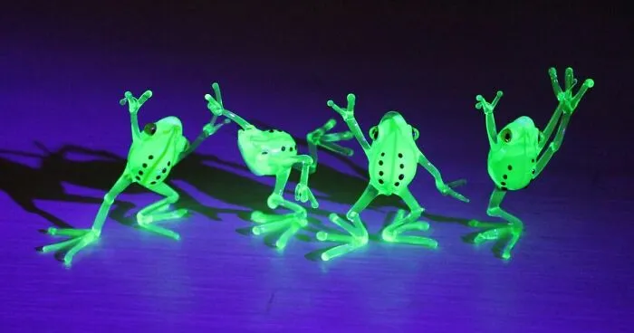 I Created Uranium Frogs That Glow Under The Ultraviolet Light For A Theme Party