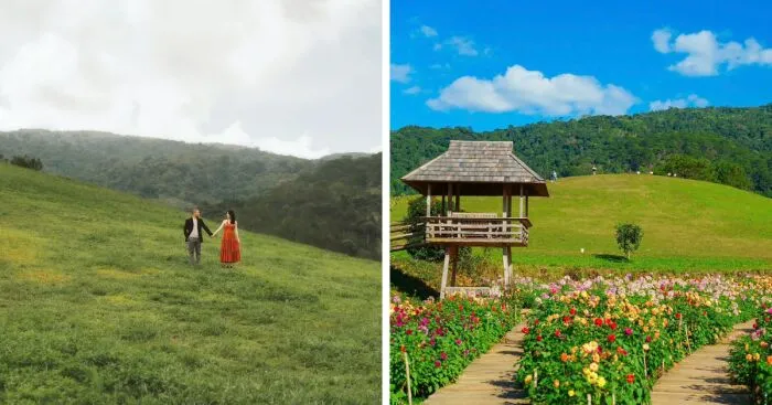 The Florest – Hoa Trong Rung: A Blooming Paradise In Da Lat That I Recommend Visiting (5 Pics)