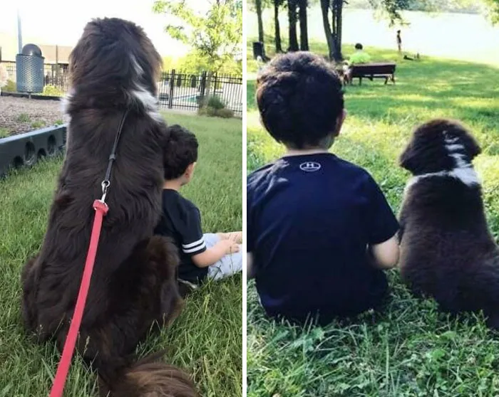 These Pictures Are Taken 10 Months Apart