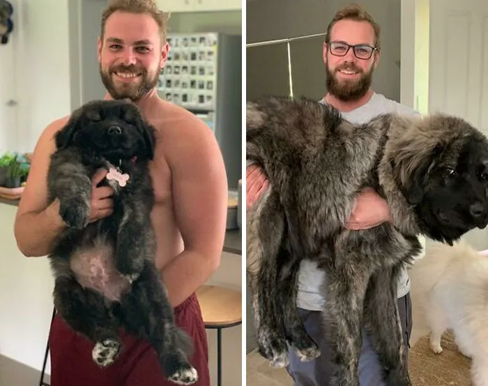 12 Weeks To 12 Months