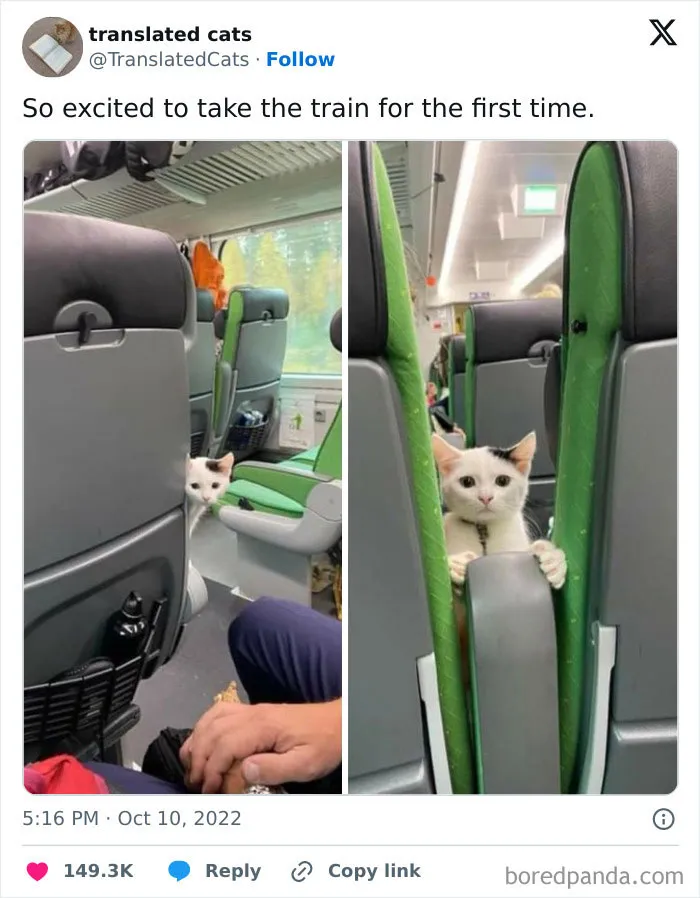 So Cute