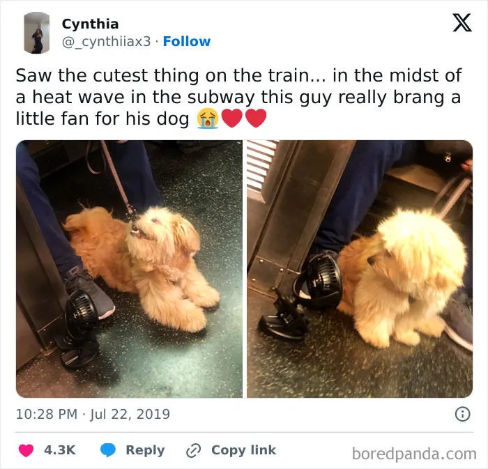 So Cute