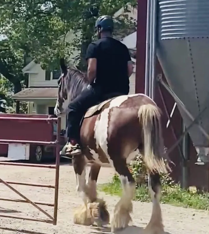 And What Did My Awesome Wife Surprise Me With For Our Anniversary? She Brought Me To A Clydesdale Farm To Ride Horses... I’ve Never Touched A Horse, Yet Alone Ridden One... Spent A Lovely Day Walkin The Trail With Sweet Gypsy
