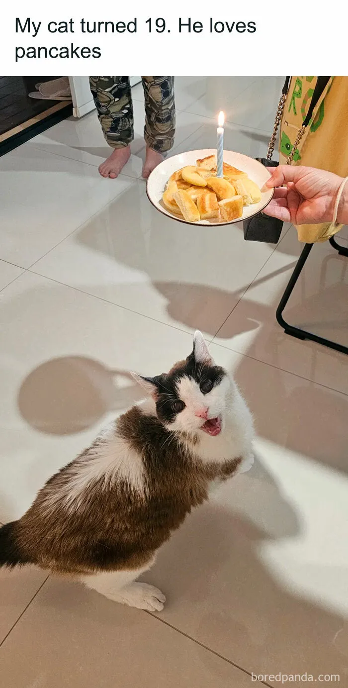 50 Posts That Show There’s Still Good Things Happening In The World
